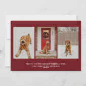 Modernes Gold-Weihnachtshund-Foto Feiertagskarte (Rückseite)