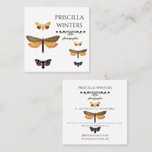 Modernes, goldfarbenes Schmetterlingsmuster Quadratische Visitenkarte (Vorne/Hinten)