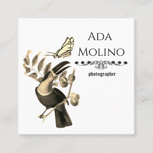 Modernes, goldfarbenes Toucan-Muster Quadratische Visitenkarte (Vorderseite)