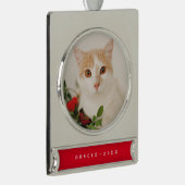 Modernes Haustier Holiday Ornament (Rechts)