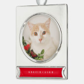Modernes Haustier Holiday Ornament (Links)