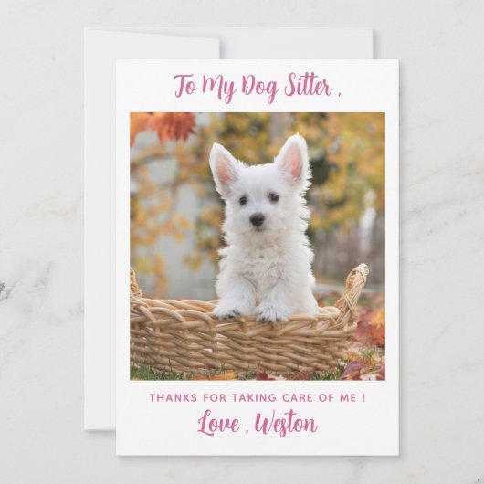 Modernes Haustier Sitter Custom Doppy Puppy Foto V Karte (Vorderseite)