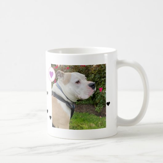 Modernes Hund 2 Fotos Herzname Kaffeetasse (Rechts)