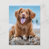 Modernes Hund Hochzeitliches Foto für Haustiere Sa Ankündigungspostkarte (Vorderseite)