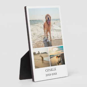 Modernes Hunde-Andenken Personalisierte Haustier-C Fotoplatte