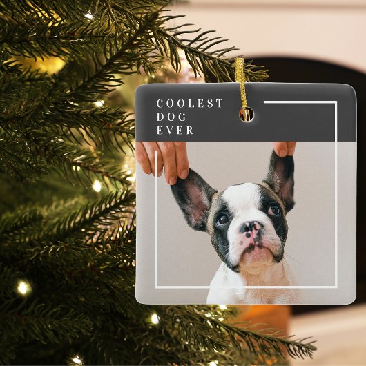 Modernes Hundebahn-Foto | Cooler Hund je Keramikornament