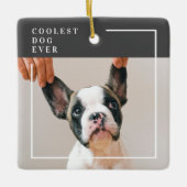 Modernes Hundebahn-Foto | Cooler Hund je Keramikornament (Vorderseite)