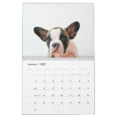 Modernes Hundebahn-Foto | Hundeschrift Kalender (Jan 2027)