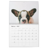 Modernes Hundebahn-Foto | Hundeschrift Kalender (Feb 2027)