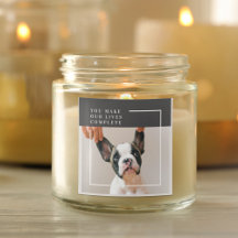 Modernes Hundebahn-Foto | Hundeschrift