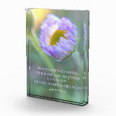 Modernes, inspirierendes Blumenkoffertypografie-Fo Fotoblock (Rechts)