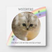 Modernes Kinderdenkmal Foto Haustier Fotoplatte (Vorderseite)