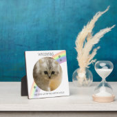 Modernes Kinderdenkmal Foto Haustier Fotoplatte (InSitu)