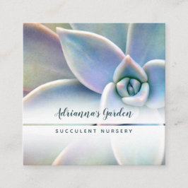 Modernes minimales saftiges quadratische visitenkarte