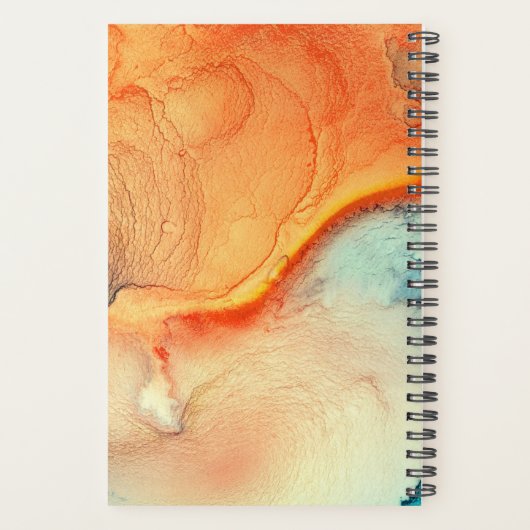 Modernes Orange- und Blaumarmormonogramm Planer (Rückseite)