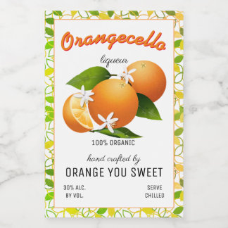 Modernes Orangecello kleines Flaschenetikett Lebensmitteletikett