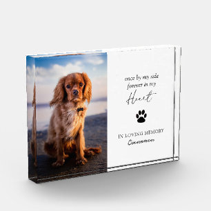 Modernes Päw Print Beileid Bereavement Pet Memoria Fotoblock