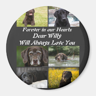 Modernes Pet-Memorial 6 FotoCollage Magnet