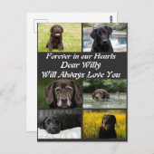 Modernes Pet-Memorial 6 FotoCollage Postkarte (Vorne/Hinten)