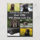 Modernes Pet-Memorial 6 FotoCollage Postkarte (Vorderseite)