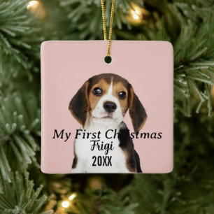 Modernes Pet Script Name First Christmas 2 Foto Keramikornament