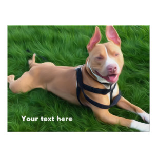 Modernes Plakat mit Pitbullhund auf dem grünen Poster