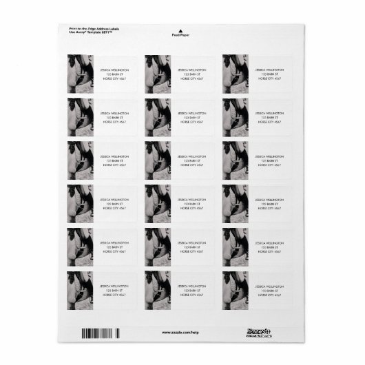 Modernes Reitschiff Foto Adresse Adressaufkleber (Vorne)