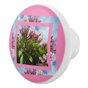 Modernes rosa Frangipani-Design, Keramikknauf