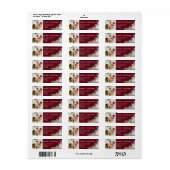 Modernes Rotes Elegantes Foto & Pine Grüne (Vorne)