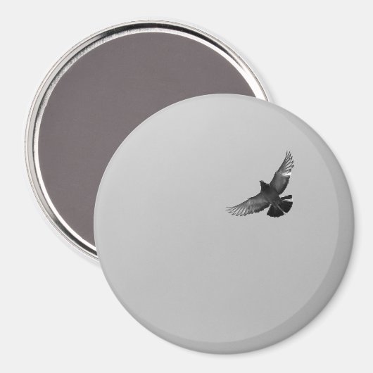 Modernes, Schwarz-weißes Foto für Vogeltauben Magnet (Vorderseite/Rückseite)