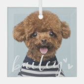 Modernes, spielerisches Foto Ornament Aus Glas (Vorderseite)