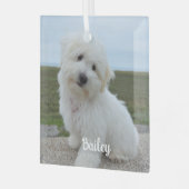 Modernes, spielerisches Foto Ornament Aus Glas (Vorderseite links)