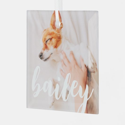 Modernes, spielerisches Foto Ornament Aus Glas (Vorderseite links)