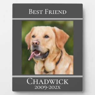 Modernes, stilvolles Add-On für Foto-Pet-Memorial Fotoplatte