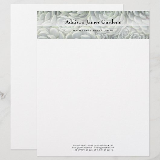 Modernes Sukkulturelles Kinderzimmer Grüne Botanis Briefbogen (Vorne/Hinten)