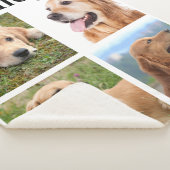 Modernes Tier-4-Bildmaterial personalisieren Hund  Sherpadecke (3/4)