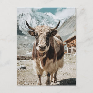 Modernes, trendy Yak Tier Feiertagspostkarte