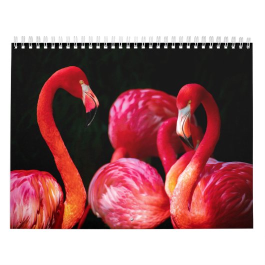 Modernes tropisches Rosa Flamingo Kalender (Titelbild)