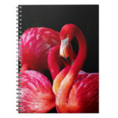 Modernes tropisches Rosa Flamingo Notizblock (Vorderseite)