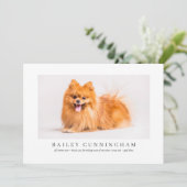 Modernes und einfaches Foto dank Vet Nurses Dankeskarte (Stehend Vorderseite)