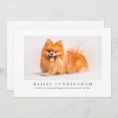 Modernes und einfaches Foto dank Vet Nurses Dankeskarte (Vorne/Hinten)