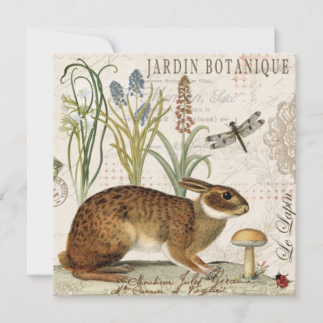 modernes Vintages französisches Kaninchen im Garte (Vorderseite)