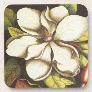 modernes Vintages Magnolie Untersetzer