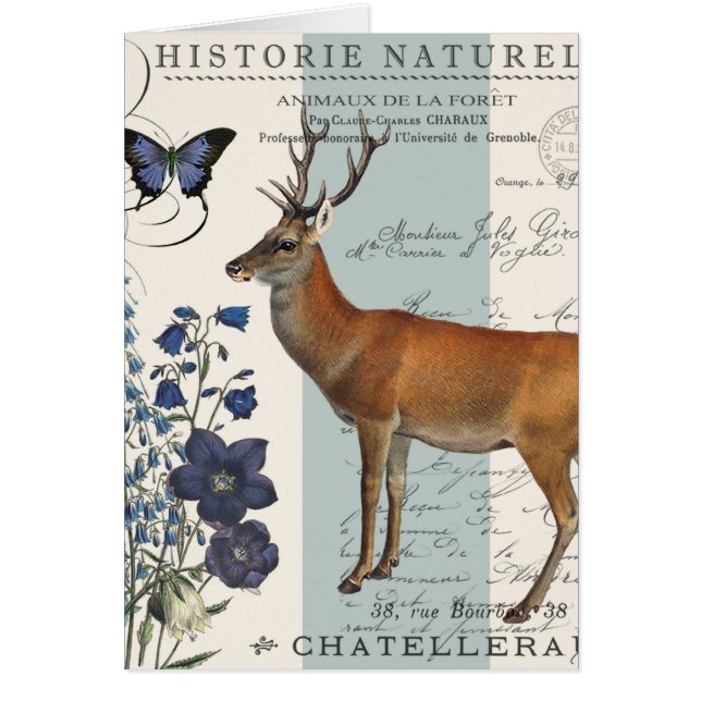 modernes Vintages Waldwild (Vorne)