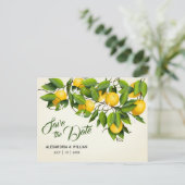 Modernes Vintages Zitronenfrucht | Hochzeitstag sp Postkarte (Stehend Vorderseite)