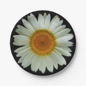 Modernes weißes Gänseblümchen auf Schwarzem Pappteller (Vorderseite)