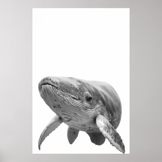 Modernes Whaleportrait Schwarz-weiß Poster (Vorne)