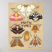 Modetypen Poster (Vorne)