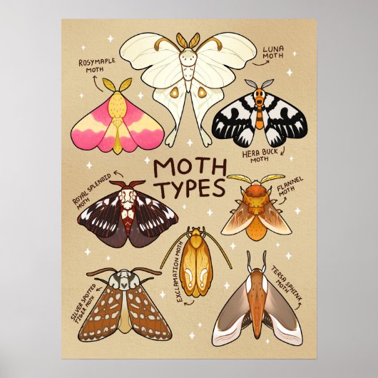 Modetypen Poster (Vorne)