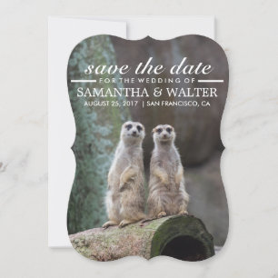 Modifizieren Sie diese lustigen Meerkatzen Save th Save The Date